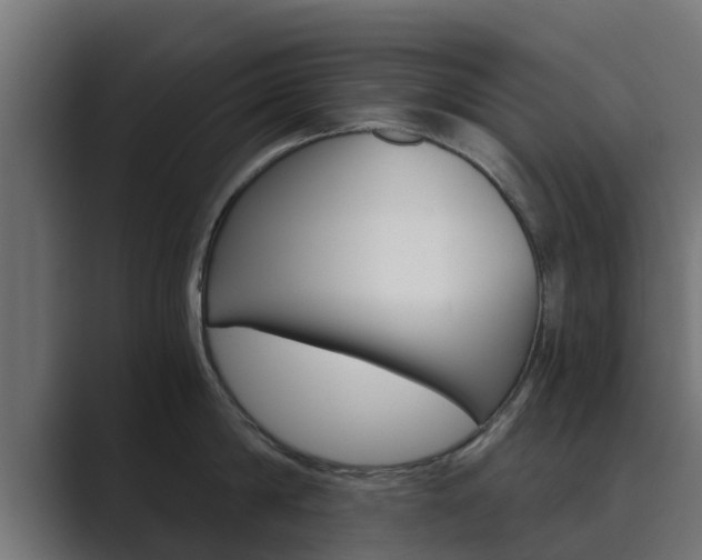 X0000089890814200706281109