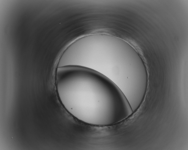 X0000089890816200706281109