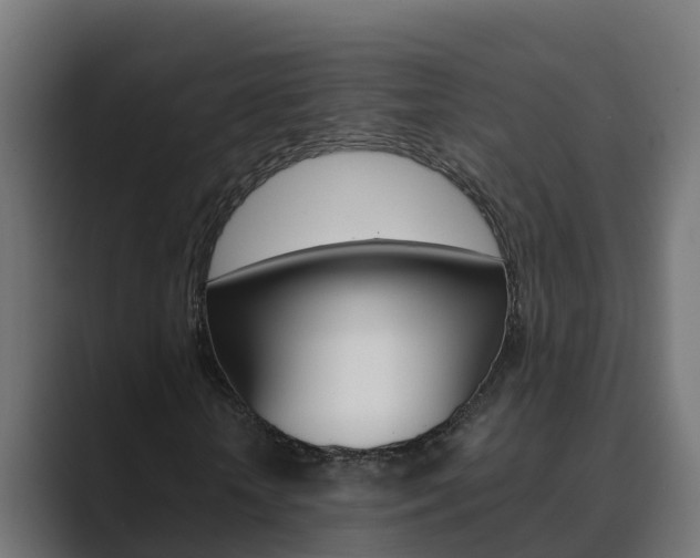 X0000089890818200706281108