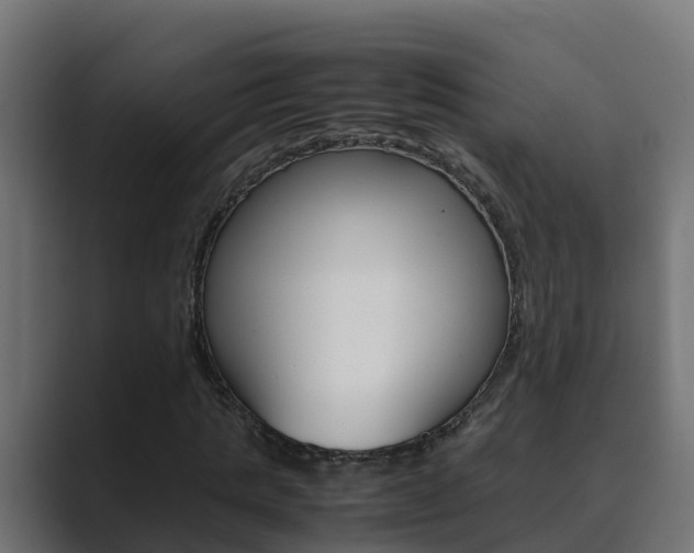 X0000089890821200706281108