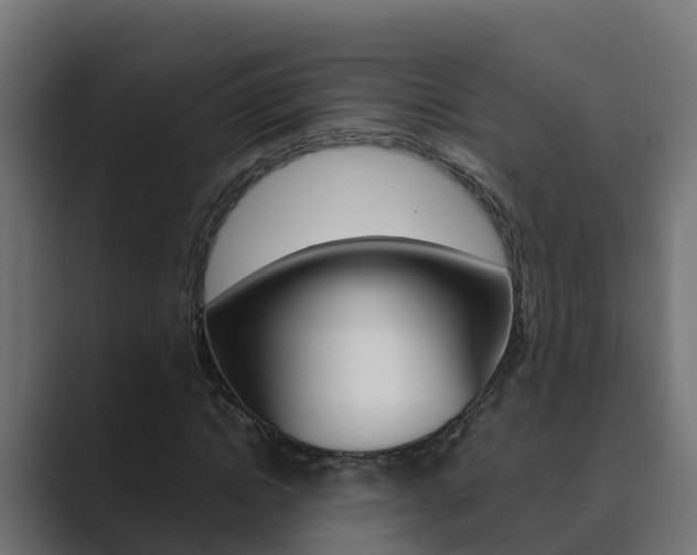 X0000089890822200706281108