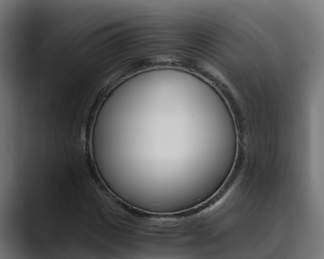 X0000089890825200706281109