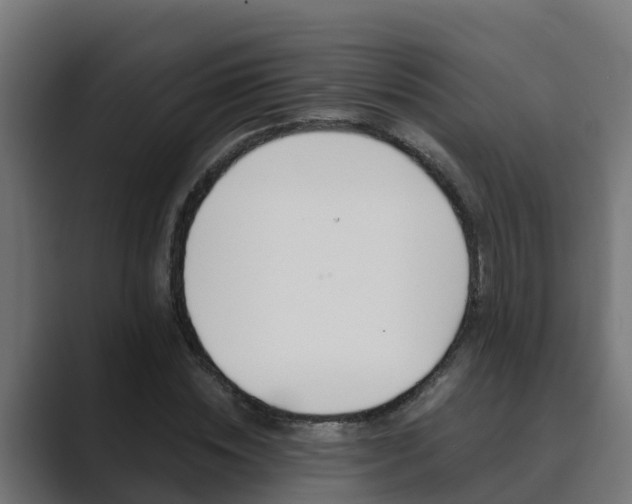 X0000089890828200706281109