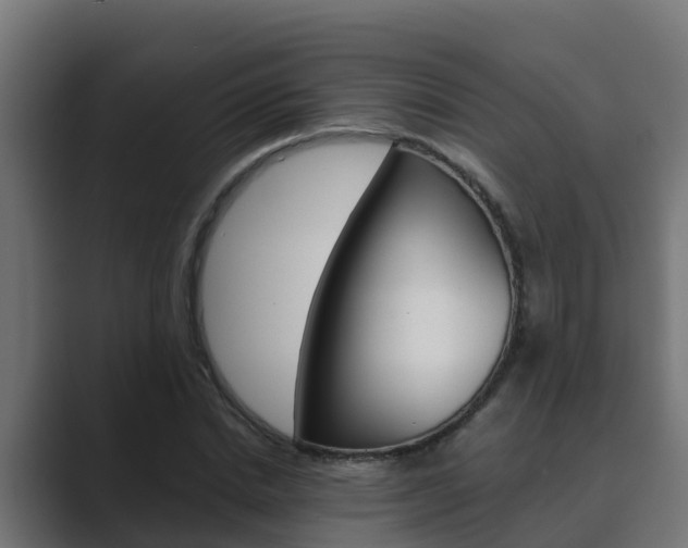 X0000089890830200706281109