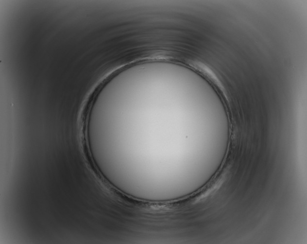 X0000089890835200706281109