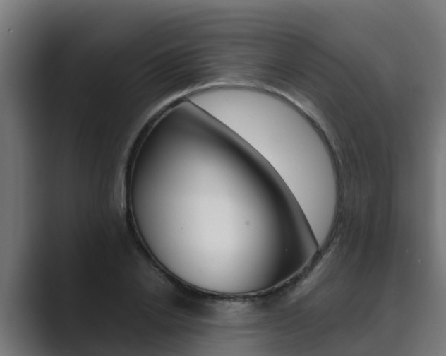 X0000089890838200706281109