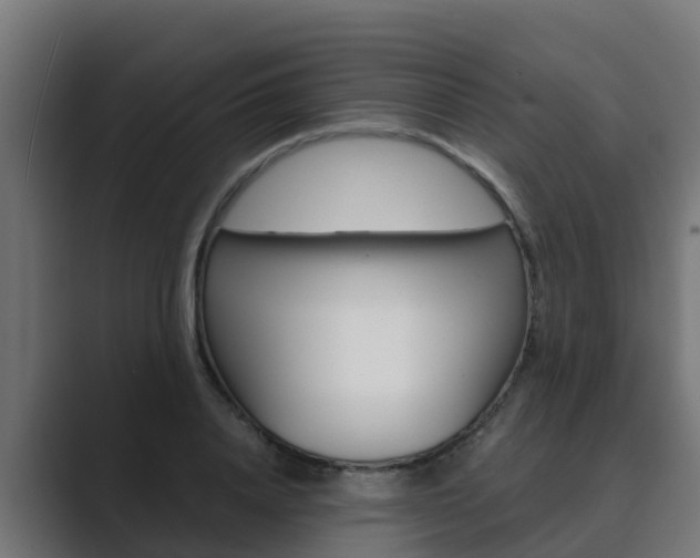 X0000089890840200706281109