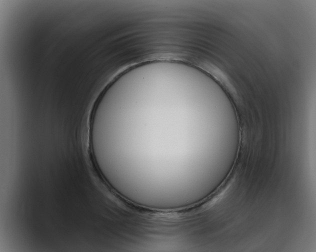 X0000089890844200706281109