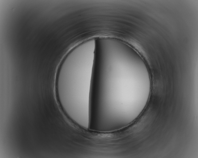 X0000089890845200706281109