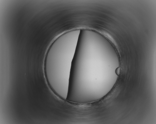 X0000089890847200706281109