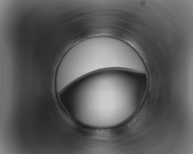 X0000089890850200706281109