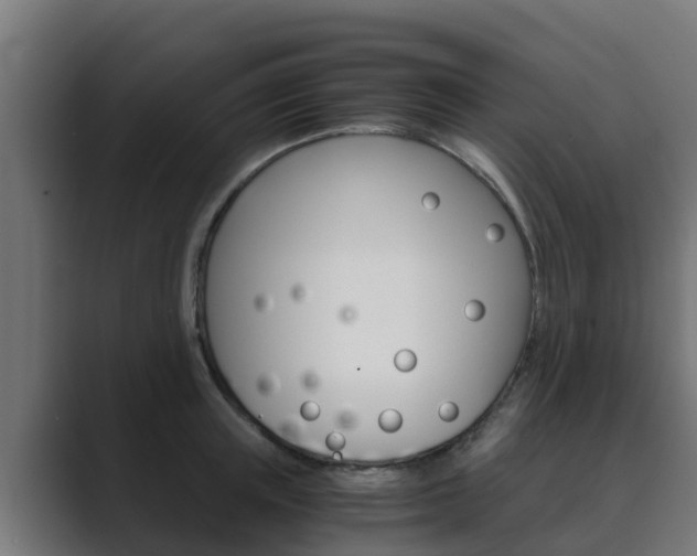 X0000089890851200706281109