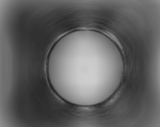 X0000089890855200706281109