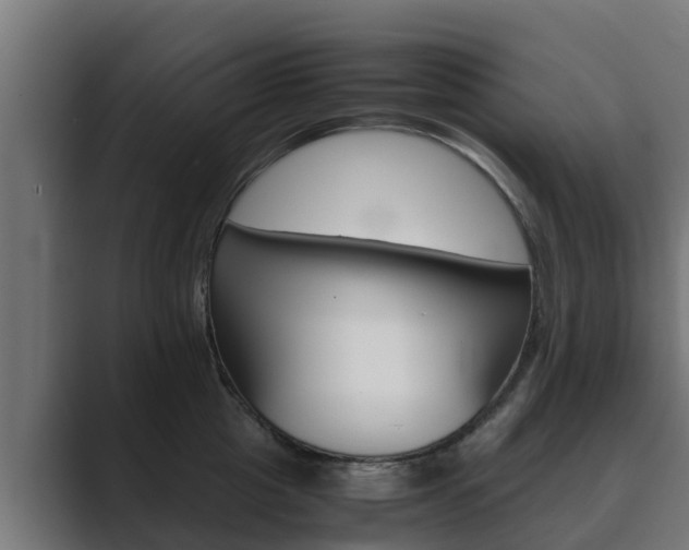 X0000089890857200706281109
