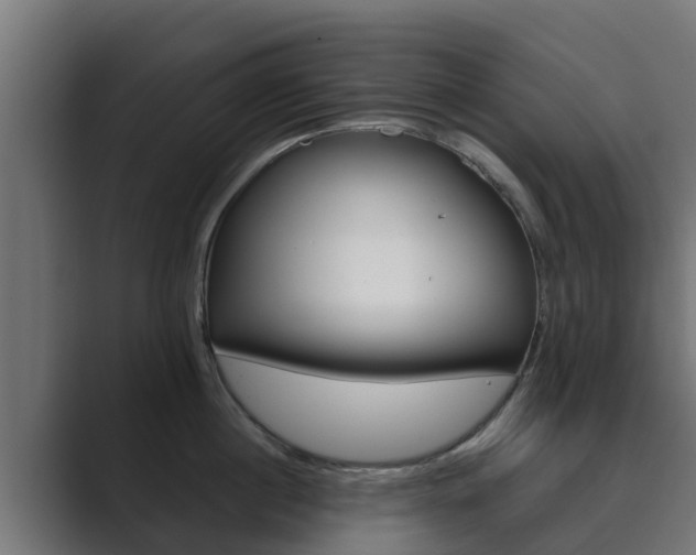 X0000089890860200706281109