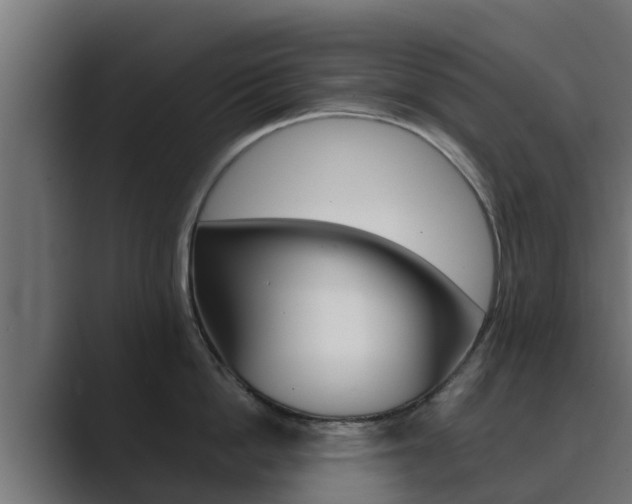 X0000089890862200706281109