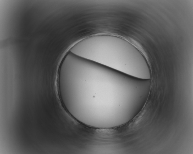 X0000089890863200706281109