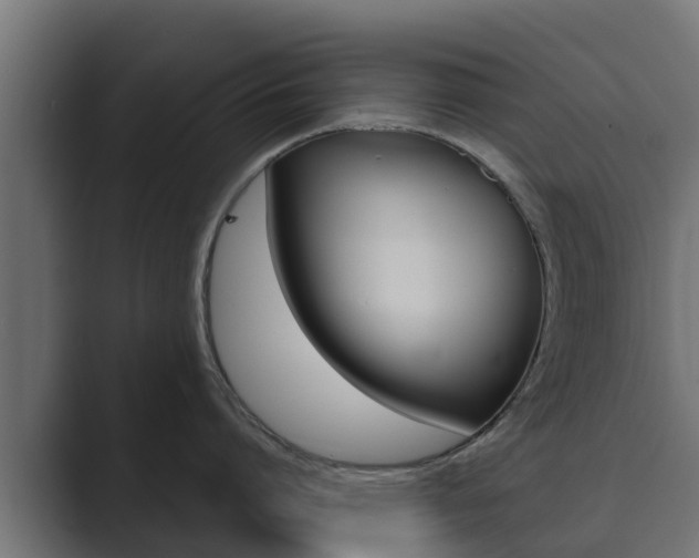 X0000089890864200706281109