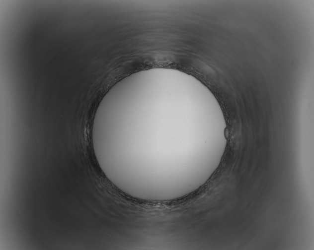 X0000089890866200706281108