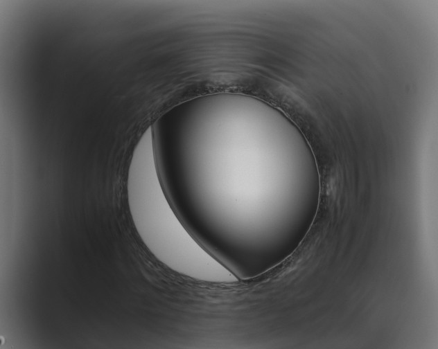 X0000089890868200706281108