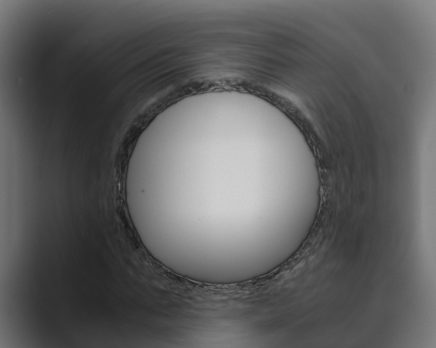 X0000089890871200706281108