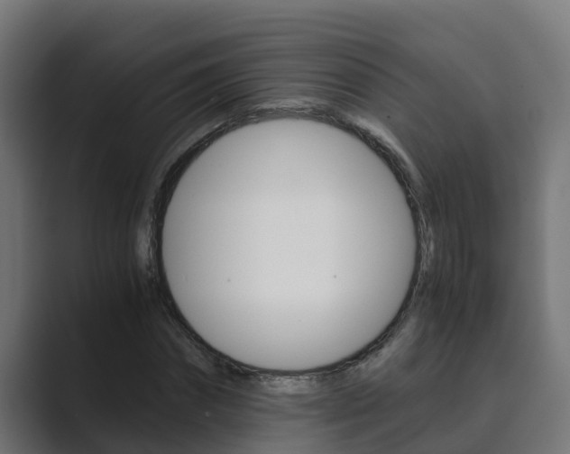 X0000089890874200706281108