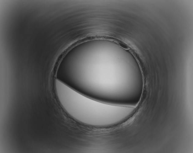 X0000089890877200706281108
