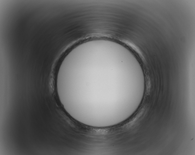 X0000089890878200706281108