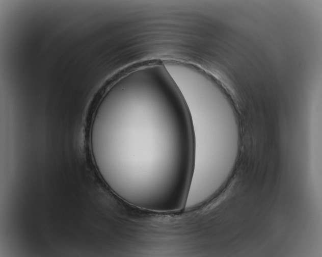 X0000089890880200706281108