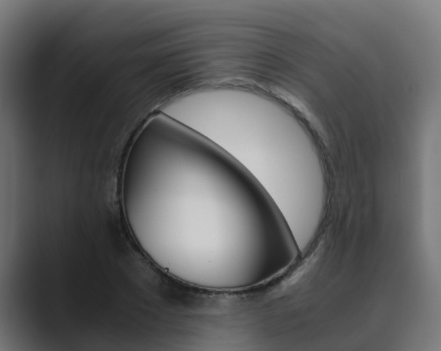 X0000089890881200706281108