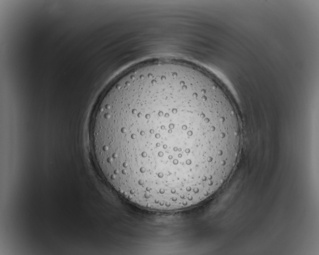 X0000089890887200706281108