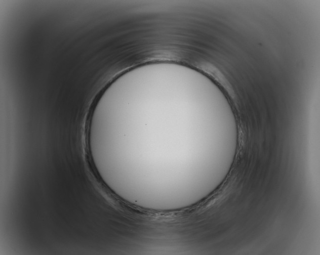 X0000089890890200706281108