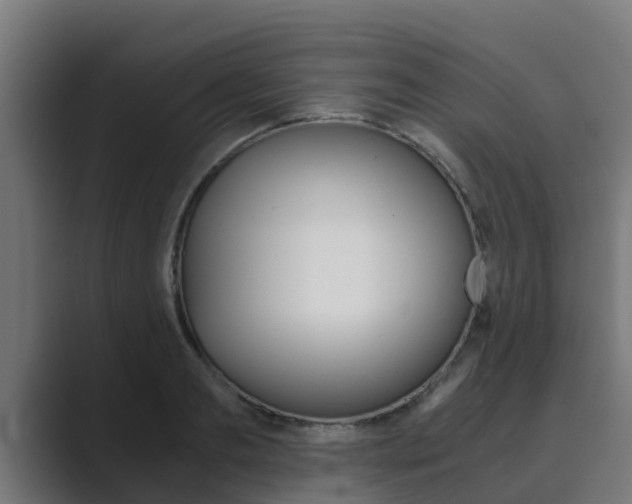 X0000089890893200706281108