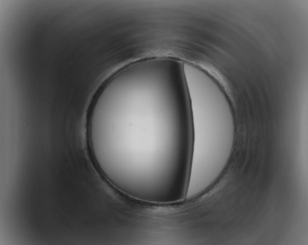 X0000089890894200706281108