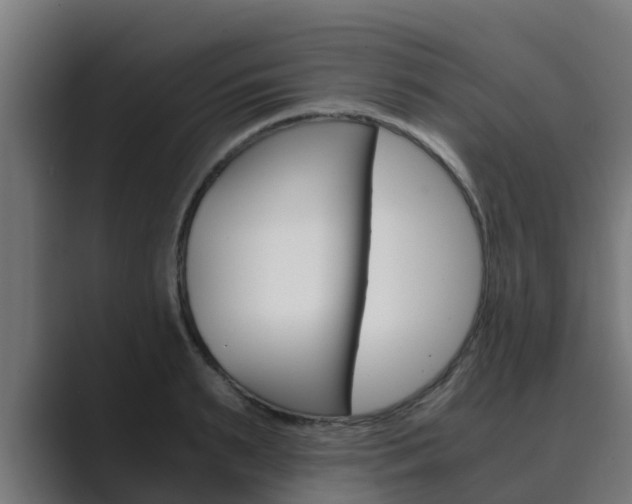 X0000089890895200706281108