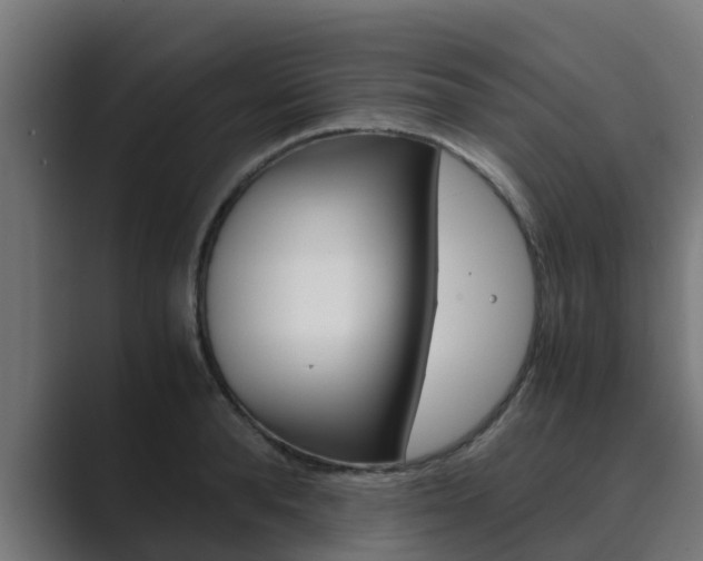 X0000089890896200706281108