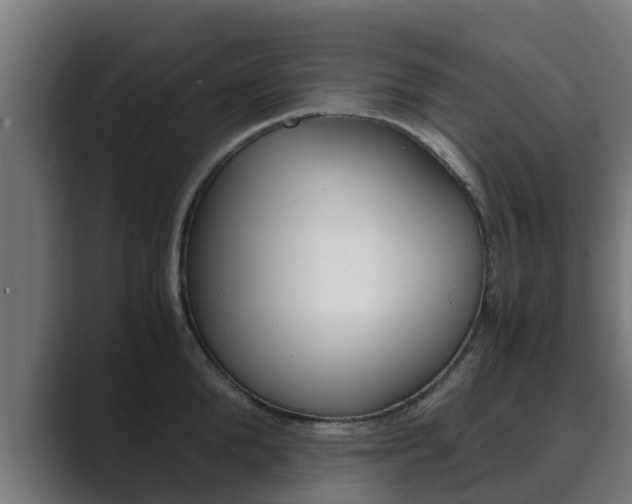 X0000089890904200706281108