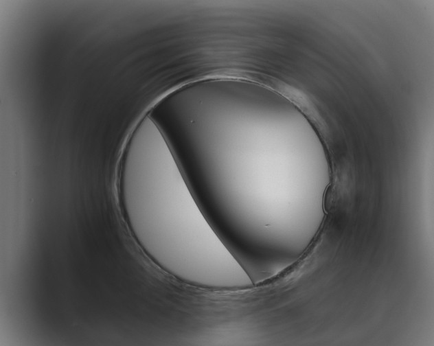 X0000089890908200706281108