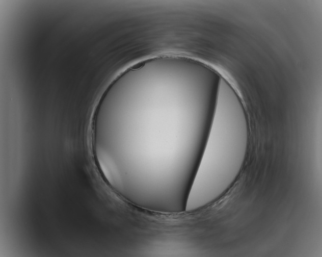 X0000089890911200706281108
