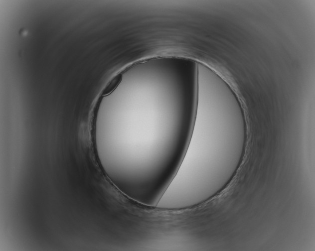 X0000089890912200706281108