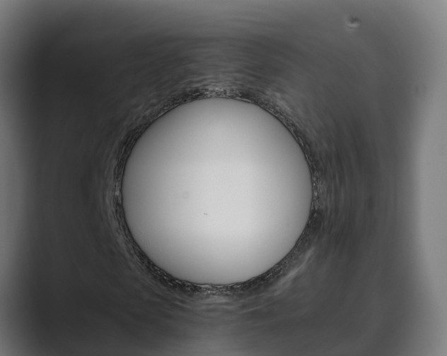 X0000089890913200706281107