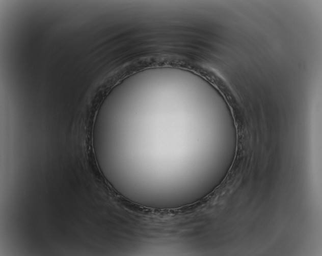 X0000089890919200706281107