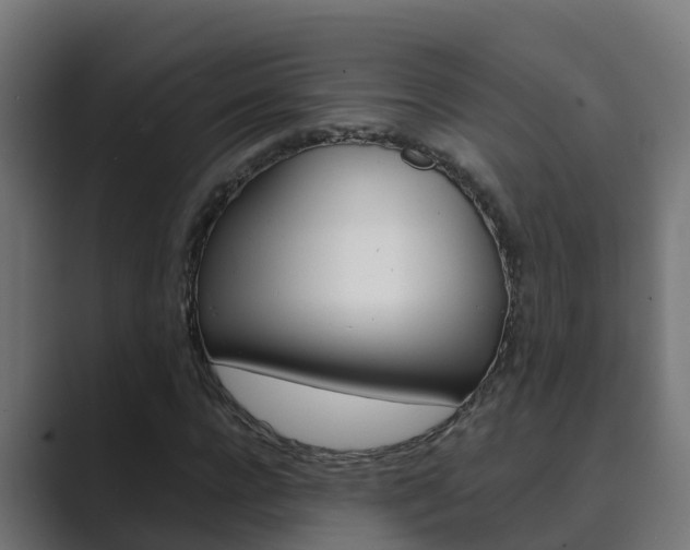 X0000089890920200706281107