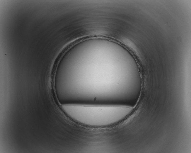 X0000089890924200706281107