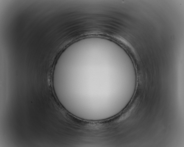 X0000089890929200706281107