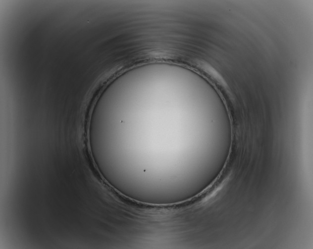 X0000089890930200706281107