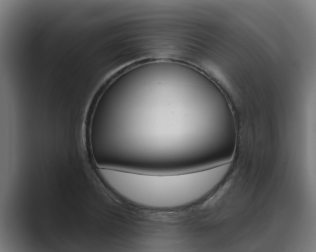 X0000089890932200706281107