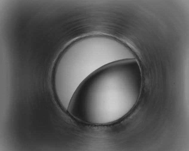 X0000089890934200706281107