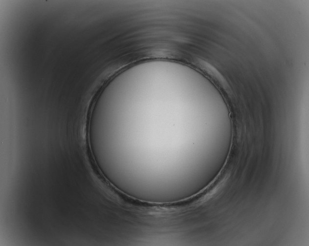 X0000089890938200706281107