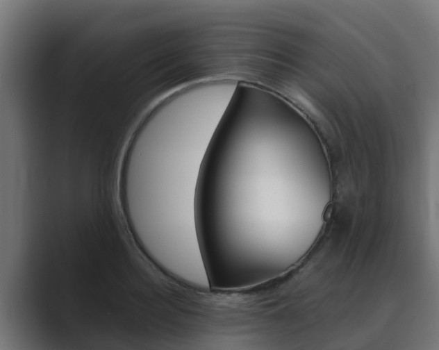 X0000089890940200706281108